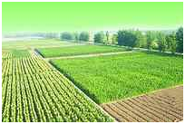 欧博abg - 官方网站登录入口