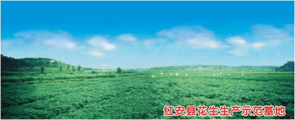 欧博abg - 官方网站登录入口