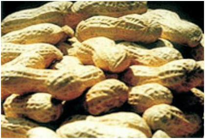 欧博abg - 官方网站登录入口