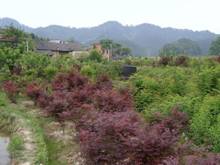 欧博abg - 官方网站登录入口