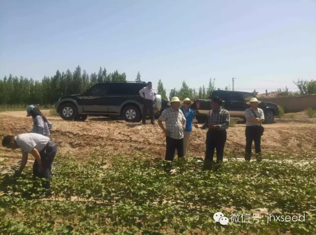 欧博abg - 官方网站登录入口