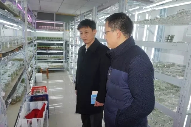 欧博abg - 官方网站登录入口